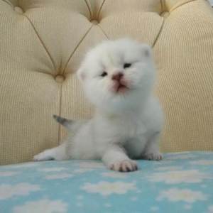 一边摸一边抽搐一进一出视频
